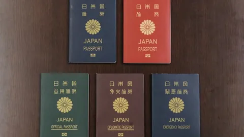 声动游戏界！马力欧之父倾情赞誉，查尔斯·马蒂内演绎魅力无限！