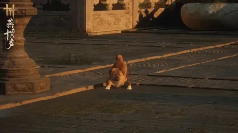 大乐透期号专家推荐：解析老车返利攻略